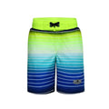 Rokka & Rolla Boys Swim Trunks | Blue/Green